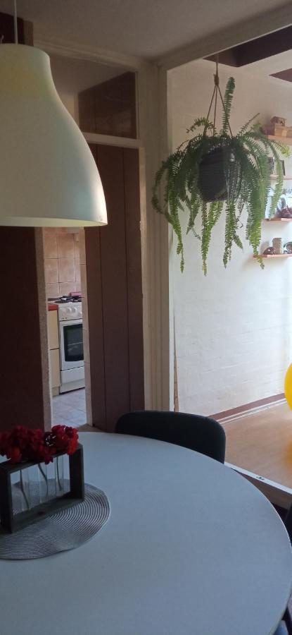 Branysol Apartman Novi Sad Eksteriør billede