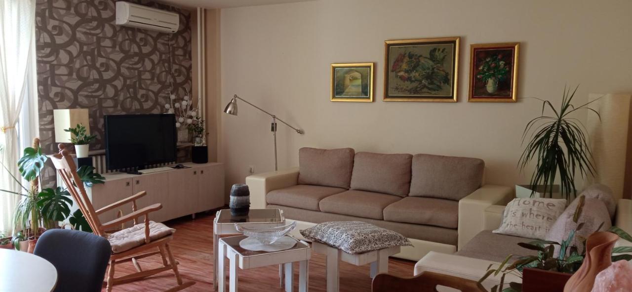 Branysol Apartman Novi Sad Eksteriør billede