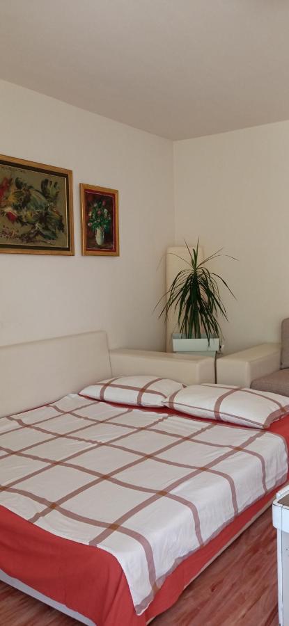 Branysol Apartman Novi Sad Eksteriør billede