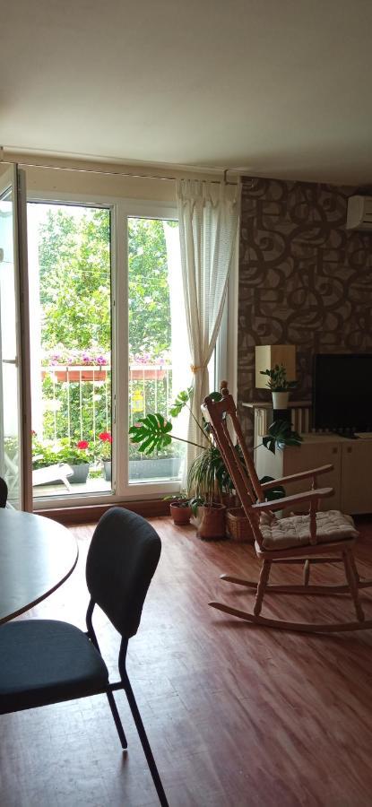 Branysol Apartman Novi Sad Eksteriør billede
